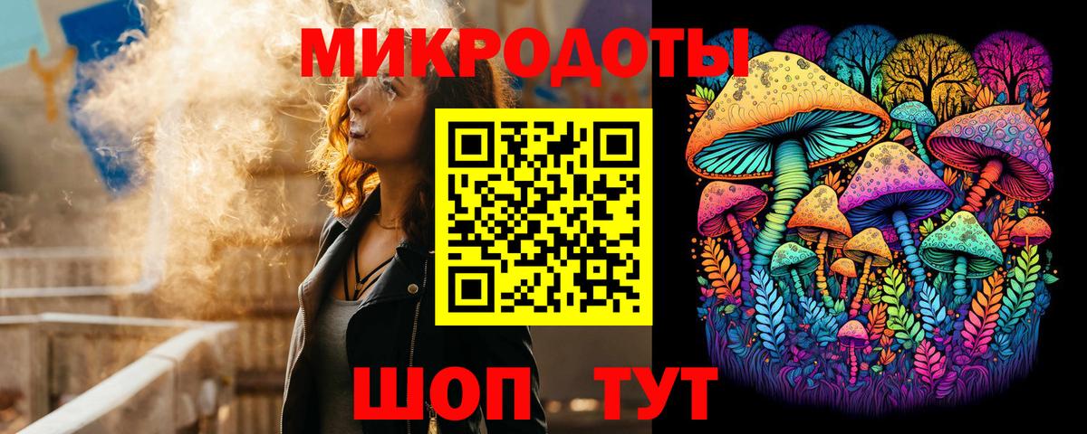 Галлюциногенные грибы Psilocybe Дальнегорск